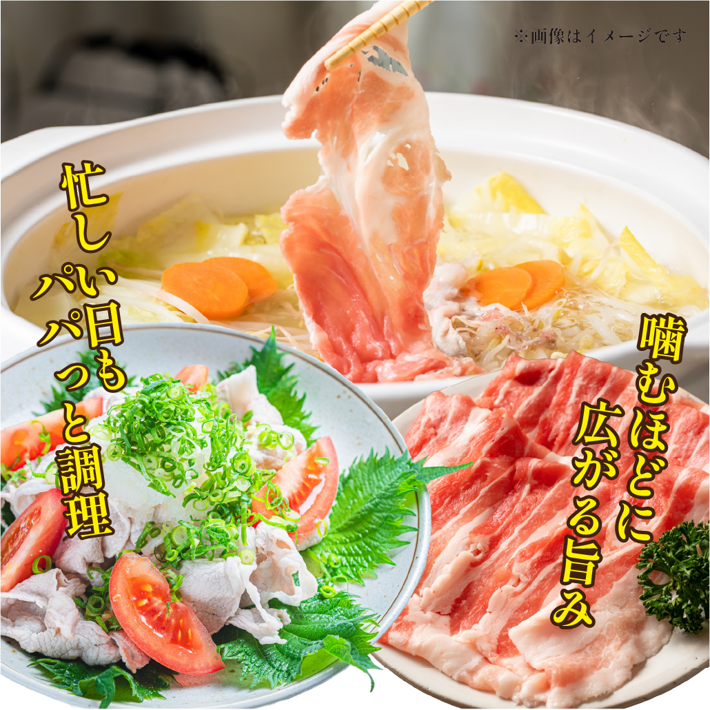 【定期便全6回】生活支援定期便15.5kg(豚切り落とし 豚バラスライス 豚肩ロース しゃぶしゃぶ 肩ロース生姜焼き 豚ロースとんかつ 豚モモウデ切り落とし 国産 九州産）)