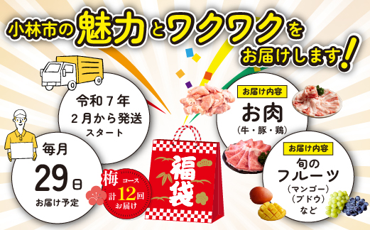 	【定期便・全12回】新春おたのしみ 福袋 梅（牛肉 豚肉 鶏肉 果物 フルーツ 限定 2025 定期便 宮崎 小林市）