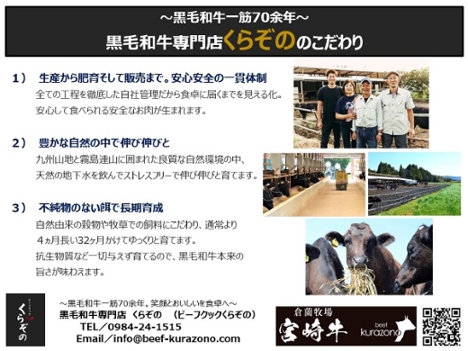 【限定・特別提供】A４等級以上小林市産宮崎牛サーロインスライス（国産 牛肉 和牛 ブランド牛 宮崎牛 スライス すき焼き しゃぶしゃぶ 焼肉 サーロイン 特別提供品)