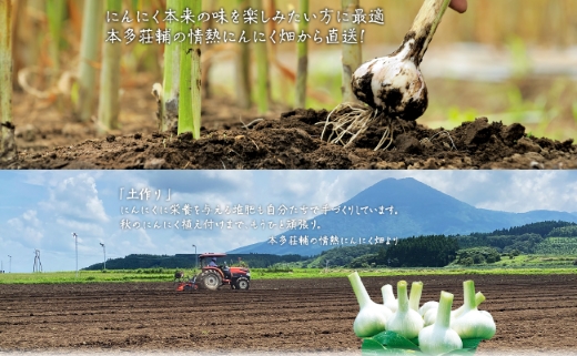 【オーガニック】有機にんにく無選別　700g