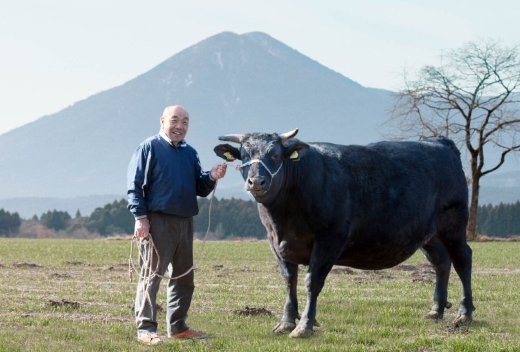 【生産者直送】なかにし和牛霜降り焼肉-特上-（産地直送 小林市産 国産 牛肉 和牛 霜降り 焼肉 送料無料）