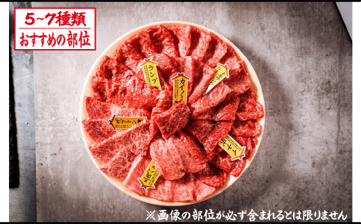 【自社農場和牛】富永和牛おうちで焼肉セット（国産 牛肉 和牛 赤身 霜降り 焼肉 BBQ 限定）