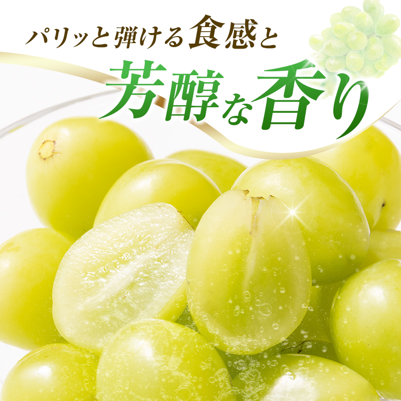 【令和8年発送 先行予約】小林市産 シャインマスカット 2kg（ブドウ ぶどう シャインマスカット マスカット フルーツ 果物 先行受付 限定）