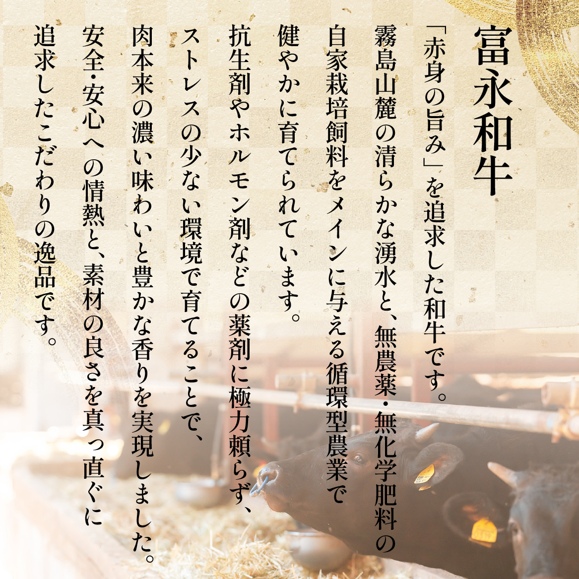 ãèªç€ŸèŸ²å Žåçã黿¯åç çã¹ãžè 1.5kgïŒé»æ¯åç çè çã¹ãž ã¹ãžè çãã çã¹ãžè å·å å°åãïŒ