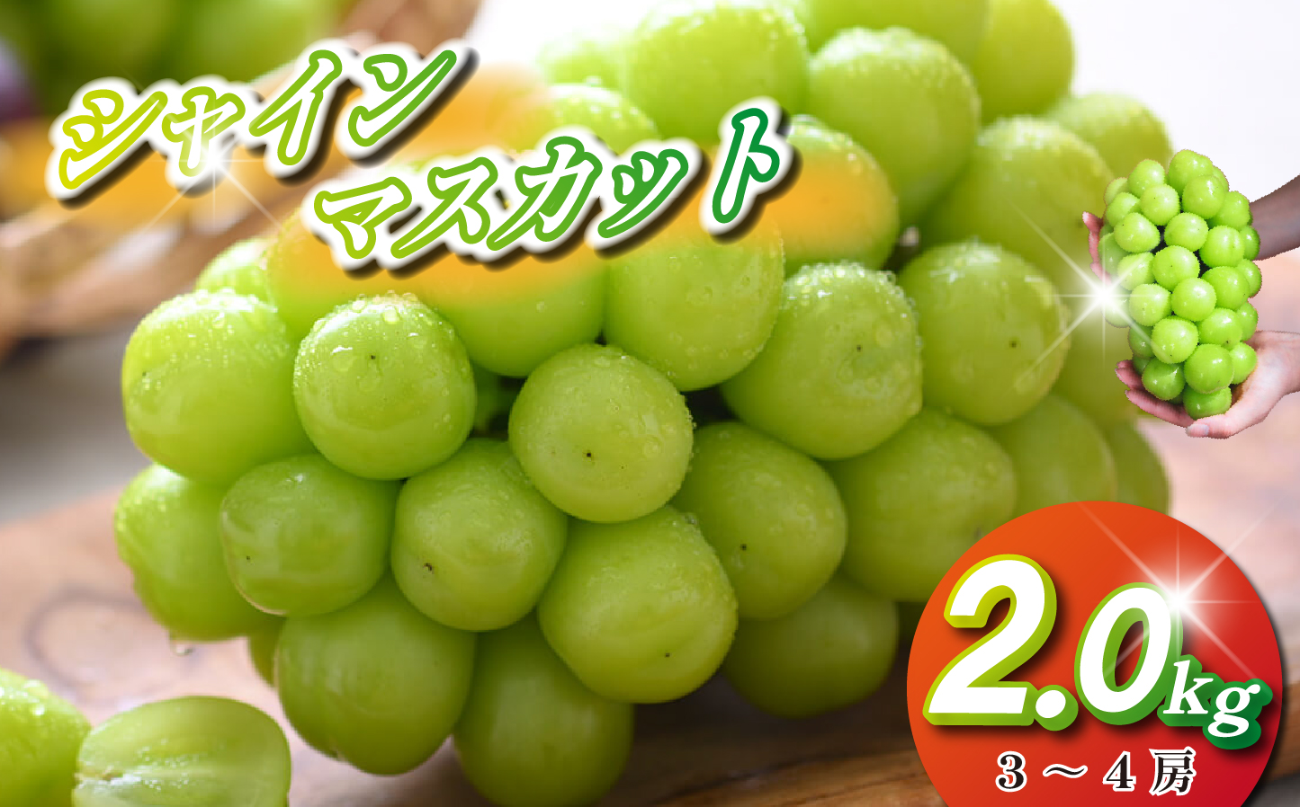 【観光農園直送!】シャインマスカット 2kg程度(3~4房 ぶどう ブドウ マスカット フルーツ 果物)