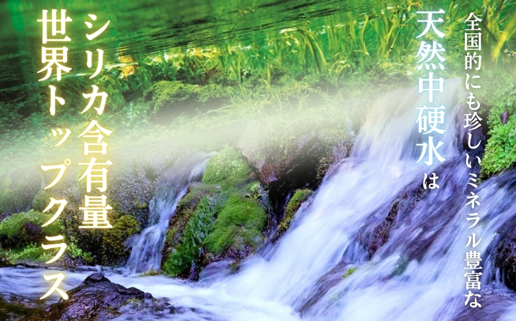 【定期便・霧島連山天然水12か月コース】シリカたっぷり霧島のおいしい水2L×6本×12か月（国産 ナチュラルウォーター ミネラルウォーター 天然水 水 中硬水 シリカ 美容 人気 霧島 宮崎 小林）