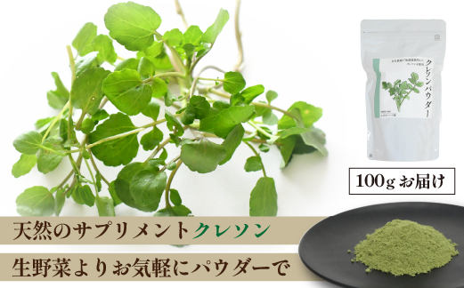 【注目のスーパーフード】天然クレソンパウダー 100g（国産 天然 粉末 パウダー 美容 野菜）