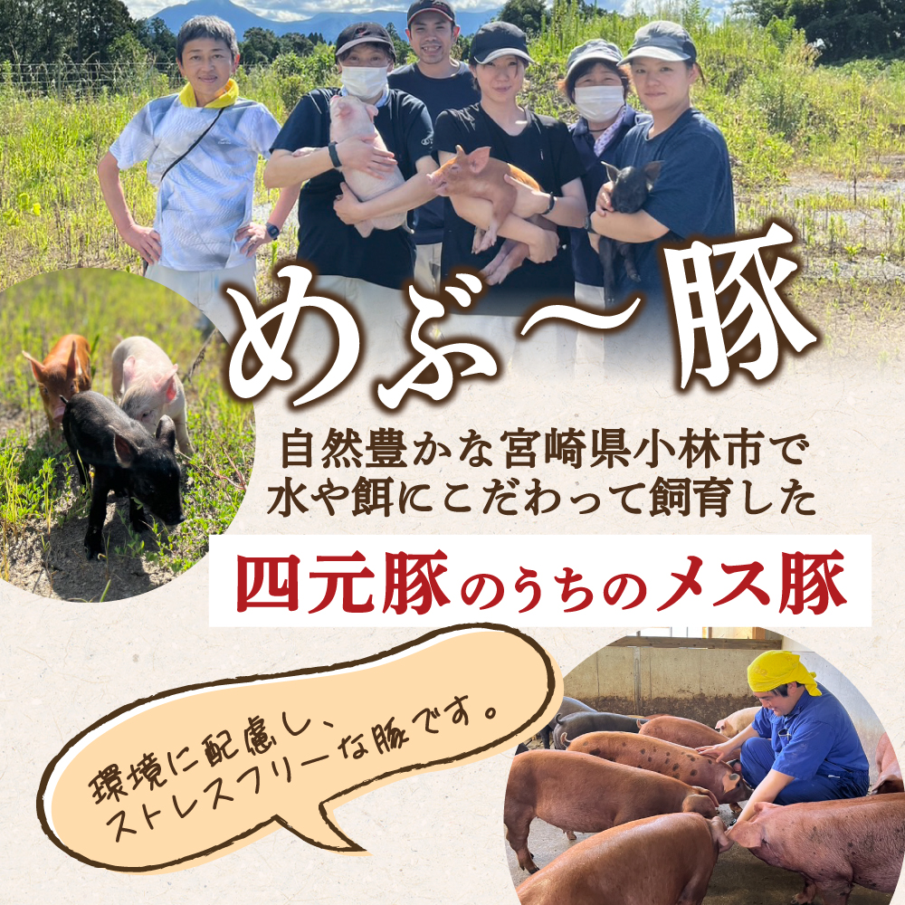 縲仙慍蜈繝悶Λ繝ウ繝芽ア壹代a縺カス櫁ア 雎壹ヰ繝ゥ縺励c縺カ縺励c縺カ逕ィ 1.4kgシ郁ア夊i 雎 縺願i 雎壹ヰ繝ゥ 繝舌Λ 縺励c縺カ縺励c縺カ逕ィ 蟆丞縺托シ