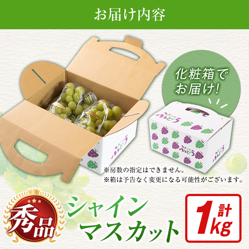 ã什å8幎çºé å
è¡äºçŽãå°æåžç£ ã·ã£ã€ã³ãã¹ã«ãã 1kgïŒãã㊠ã¶ã©ã ã·ã£ã€ã³ãã¹ã«ãã ãã¹ã«ãã ãã«ãŒã æç© å
è¡åä» éå®ïŒ