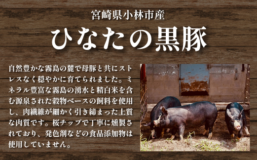 【地元ブランド豚使用】桜ベーコン 粗挽き黒胡椒 訳あり短冊タイプ（黒豚 豚肉 ベーコン 訳あり 燻製）