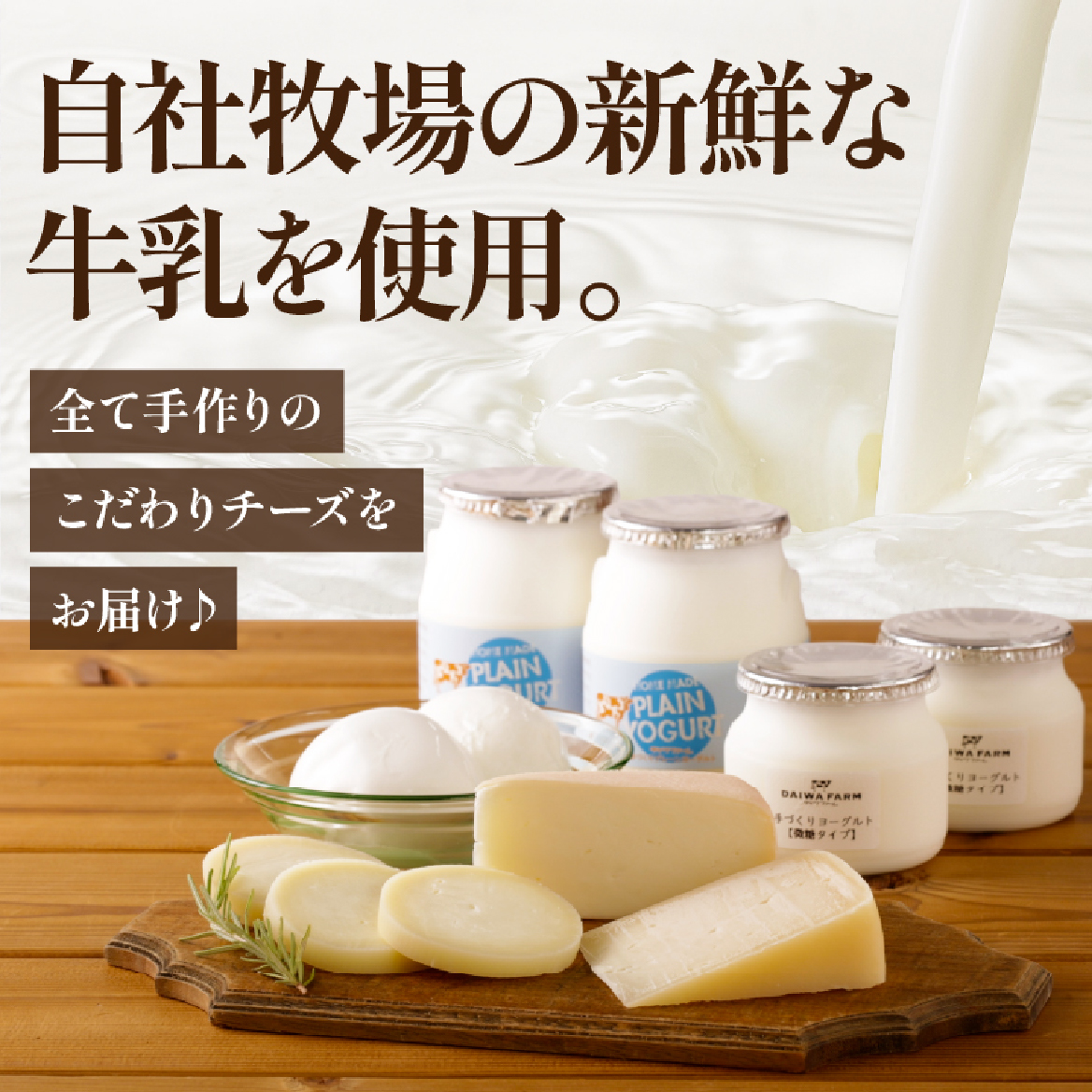 ãåœå
å€ã³ã³ãã¹ãåè³ïŒãå¥è·¡ã®ããŒãºã»ããïŒåœç£ ããã¥ã©ã«ããŒãº 乳補å ããŒãº ã³ã³ãã¹ãåè³ äººæ° é§å³¶ å®®åŽ å°æåž å°åéå®ïŒ