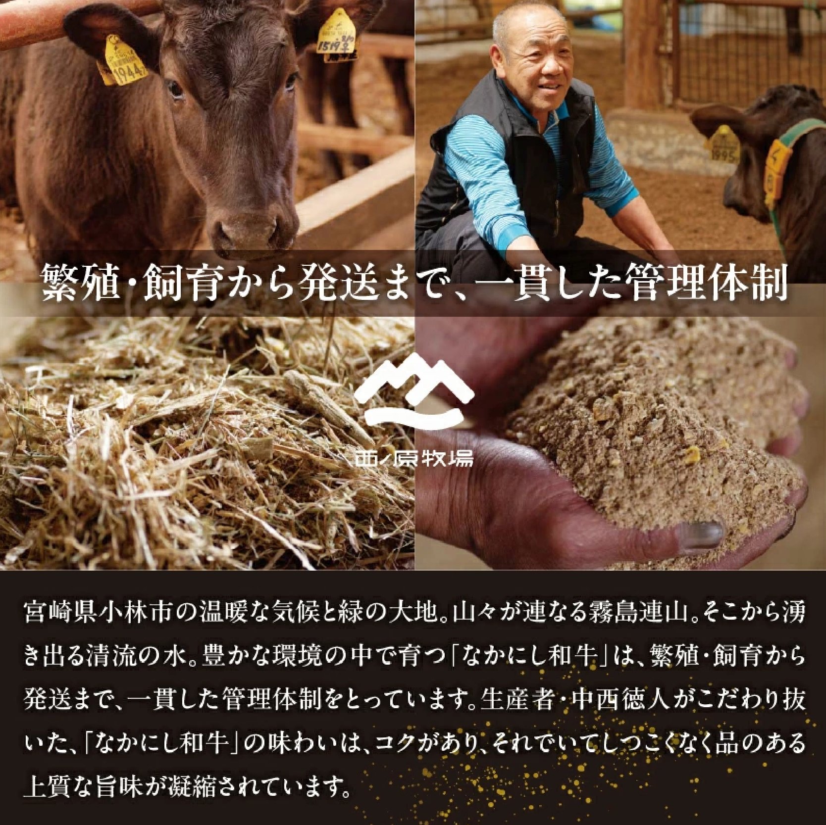 宮崎県西ノ原牧場・なかにし和牛訳あり不揃い切り落とし焼肉 500g（国産 牛肉 肉 宮崎牛 黒毛和牛 お肉 切り落とし なかにし和牛 焼肉 人気 訳あり 不揃い ）