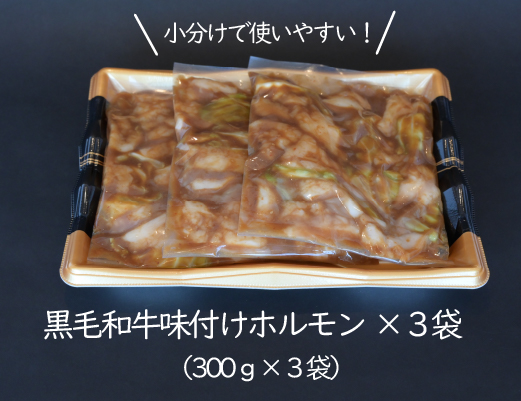 宮崎県産黒毛和牛濃厚味付けホルモン900g（ 牛 国産 ホルモン 300g 3パック 焼肉 炒め物）