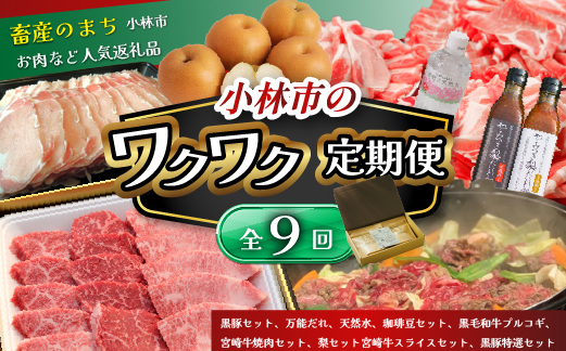 【定期便・全9回】小林市ワクワク定期便コース（国産 牛肉 国産牛 和牛 黒毛和牛 豚肉 黒豚 フルーツ くだもの 果物 天然水 定期便）