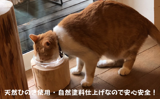 小林産ひのきを使ったペット用フードディッシュL（ヒノキ 愛犬 愛猫 ペット 木製 ボウル付き）