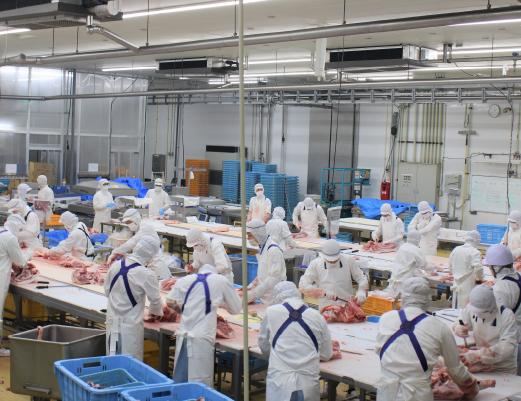 【1月1日から寄附額改定】【A4等級以上】黒毛和牛ステーキ肉高級部位２種＜リブロース・サーロイン＞食べ比べ（計900ｇ）国産 黒毛和牛 牛肉 ステーキ 食べ比べ