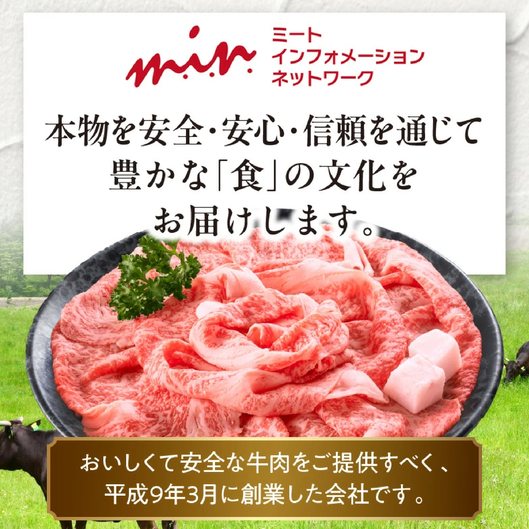 【A5等級宮崎牛】赤身ステーキ450g（小林市産）(ミヤザキギュウアカミステーキ)