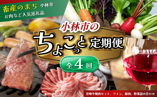 【定期便・全4回】小林市ちょこっと定期便コース（国産 牛肉 国産牛 和牛 黒毛和牛 豚肉 ワイン 野菜 定期便）