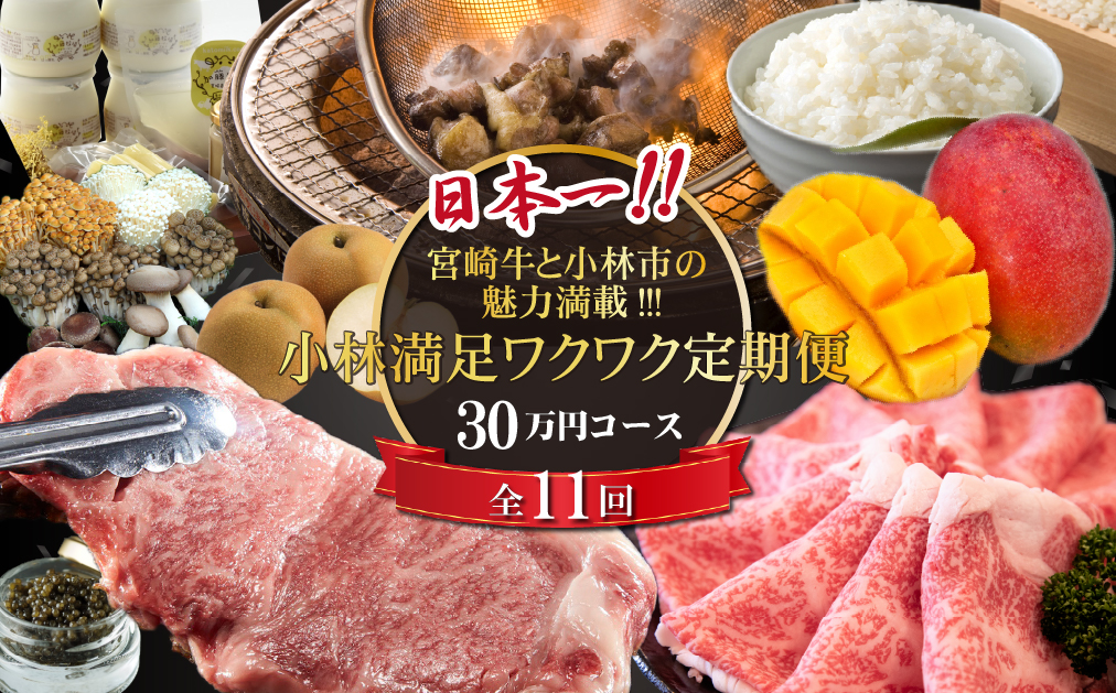 【定期便・全11回】日本一宮崎牛と小林市の魅力満載!!! 小林満足ワクワク定期便 30万円コース（国産 牛肉 国産牛 黒毛和牛 マンゴー お菓子 豚肉 鶏肉 キャビア 定期便）