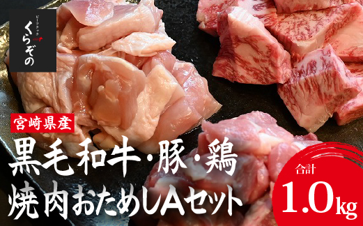 宮崎県産 牛・豚・鶏 焼肉おためしAセット 計1kg（牛肉 豚肉 鶏肉 和牛 焼肉 訳あり 小分け 食べ比べ）