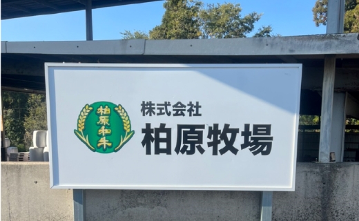 【自社農場和牛】メス指定黒毛和牛ハラミ　300g（国産 黒毛和牛 牛肉 ハラミ 焼肉 BBQ 冷凍 送料無料）