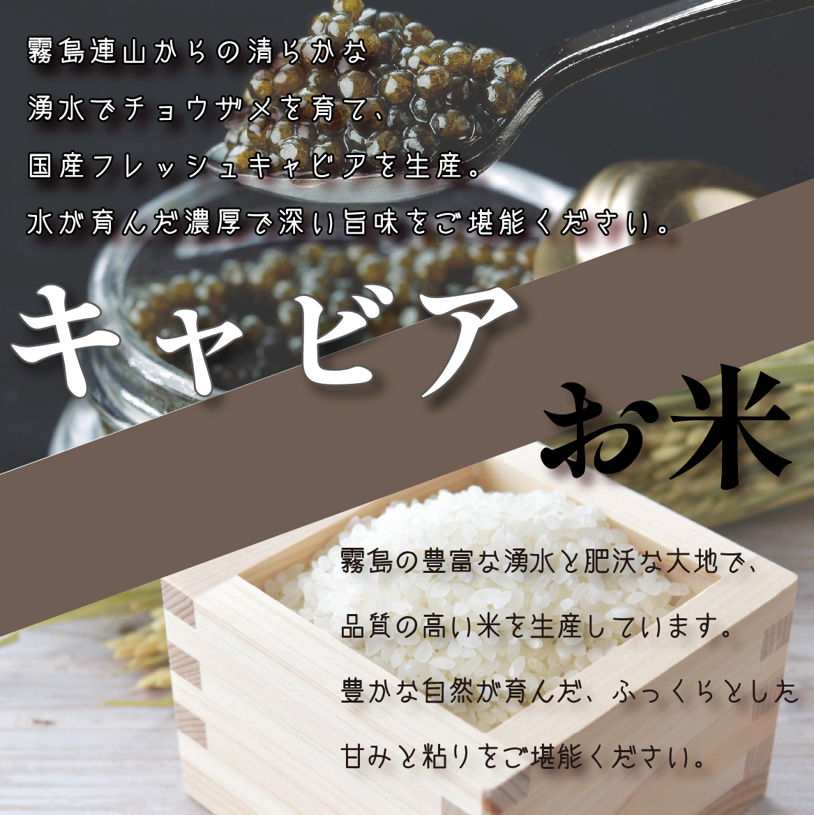【定期便・全12回】日本一宮崎牛と小林市の魅力満載!!!!小林満足スペシャル定期便 50万円コース（国産 牛肉 国産牛 和牛 黒毛和牛 キャビア シャインマスカット マンゴー 完熟マンゴー フルーツ 果実 くだもの 豚肉 鶏肉 定期便）