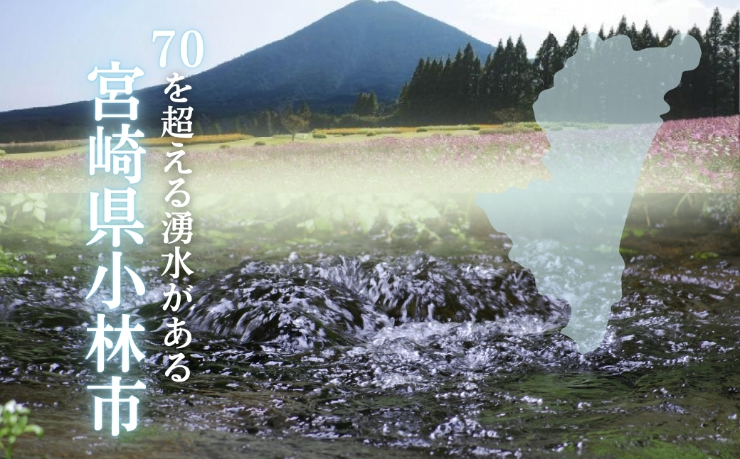 【ミネラルたっぷり天然中硬水】細野の天然水 555ml×24本 （国産 ナチュラルウォーター ミネラルウォーター 天然水 水 中硬水 シリカ 美容 人気 霧島 宮崎 小林市 送料無料）