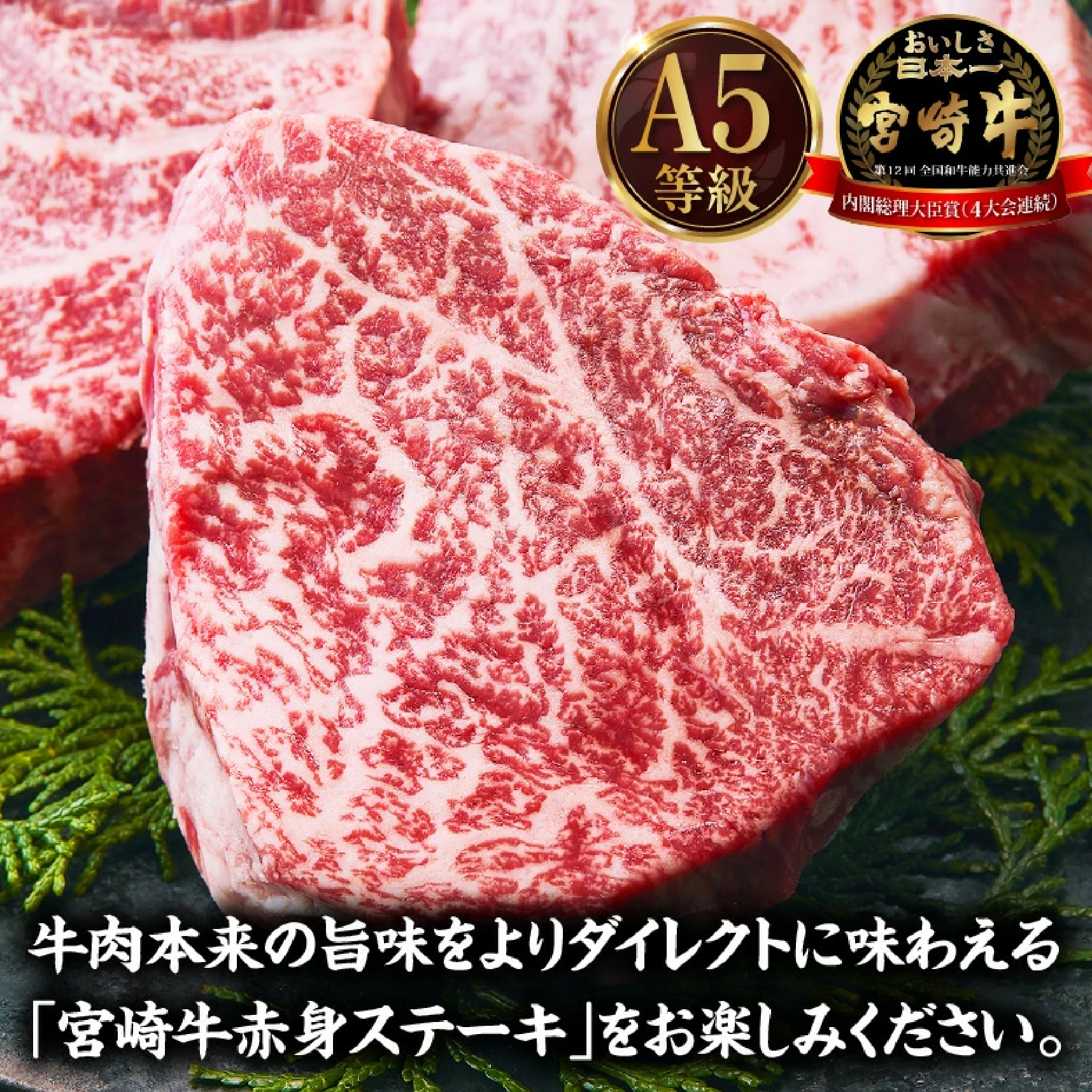 【A5等級宮崎牛】赤身ステーキ450g（小林市産）(ミヤザキギュウアカミステーキ)