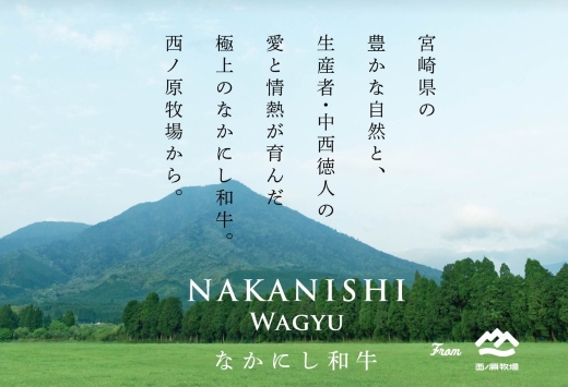 【生産者直送】なかにし和牛赤身焼肉 -特上-（黒毛和牛 小林市産 国産 牛肉 和牛 赤身 焼肉 産地直送 送料無料）