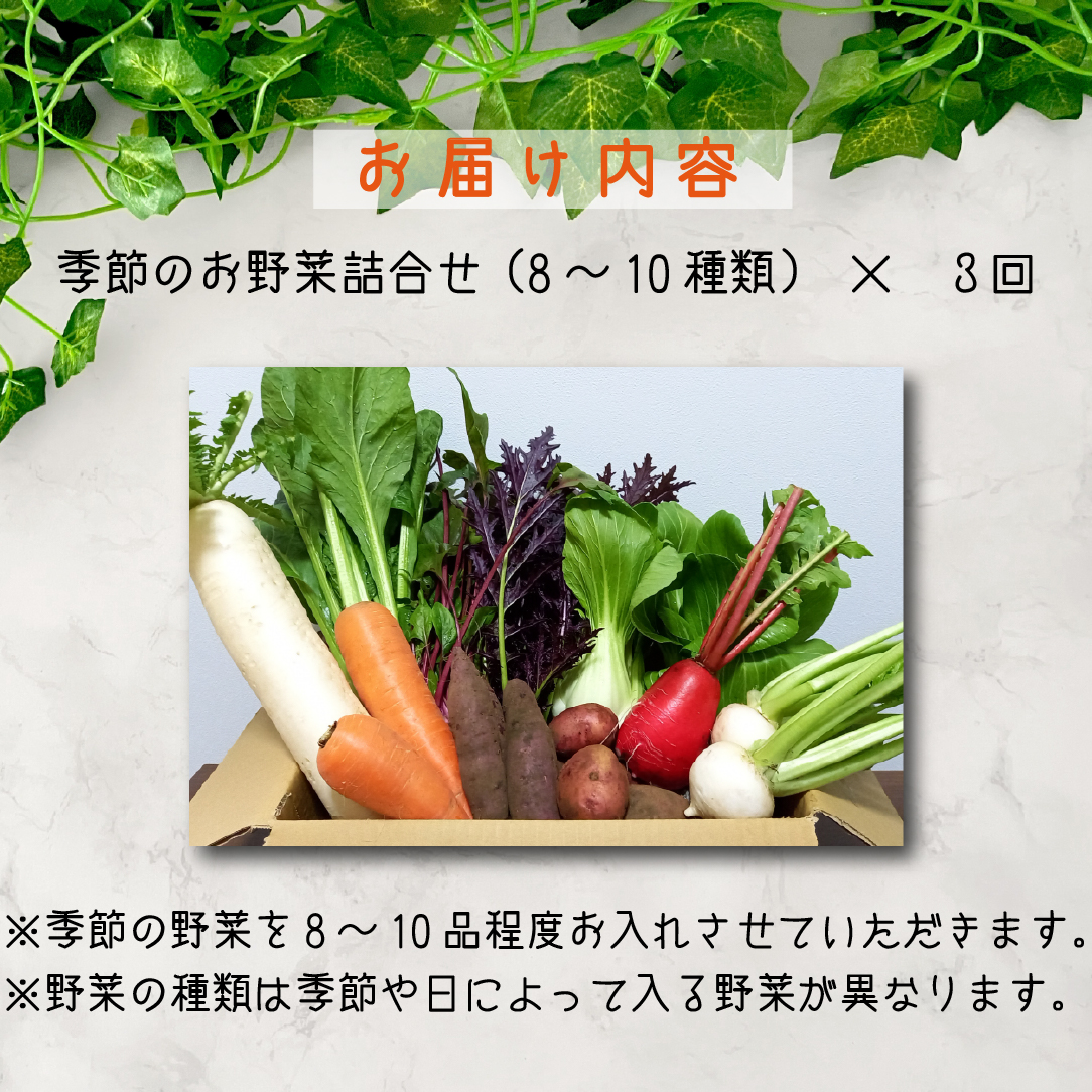 縲仙ョ壽悄萓ソ 蜈ィ3蝗槭大ュ」遽縺ョ驥手除隧ー繧∝粋繧上○繧サ繝繝茨シ域眠魄ョ 謗。繧後◆縺ヲ 驥手除 繧サ繝繝 螳壽悄萓ソ 隧ー繧∝粋繧上○ 螳ョ蟠守恁シ