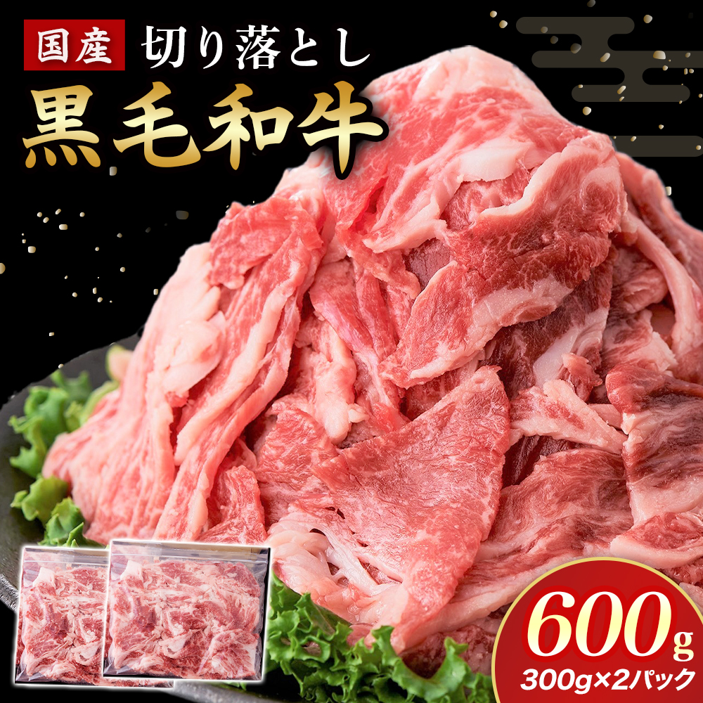 【小分けで便利！】国産黒毛和牛切り落とし 600g （ 国産 牛 牛肉 黒毛和牛 切り落とし 真空 小分け 冷凍 宮崎県 小林市 ）