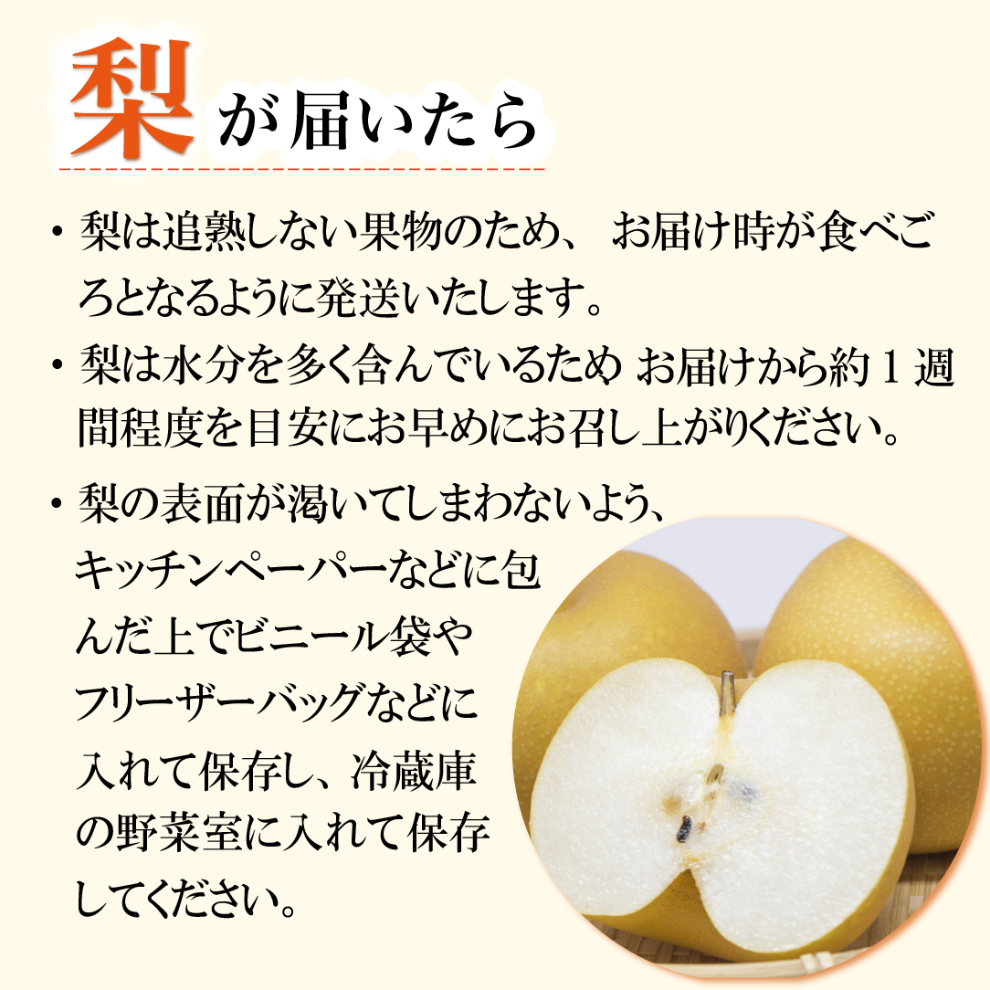 ã2026幎çºé å
è¡äºçŽãæ¬ã®æ¢šè©°ãåãã 3kgïŒæ¢š ãªã ãã· æç© ãã«ãŒã 2026 å
è¡åä» éå®ïŒ