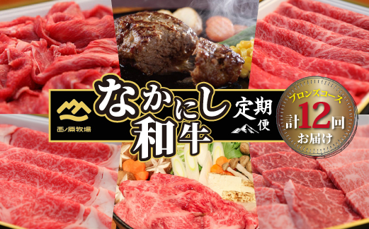 【定期便・全12回】西ノ原牧場直送　なかにし和牛ブロンズコース（定期便 肉 国産 肉定期便 和牛 赤身 霜降り ブランド牛 宮崎 小林市 ステーキ 焼肉 すき焼き スライス 人気）