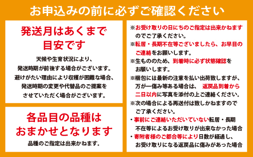 【全2回・フルーツ定期便】小林市産 完熟マンゴー＆旬のぶどう 定期便（フルーツ マンゴー ブドウ シャインマスカット 果物 定期便 宮崎）