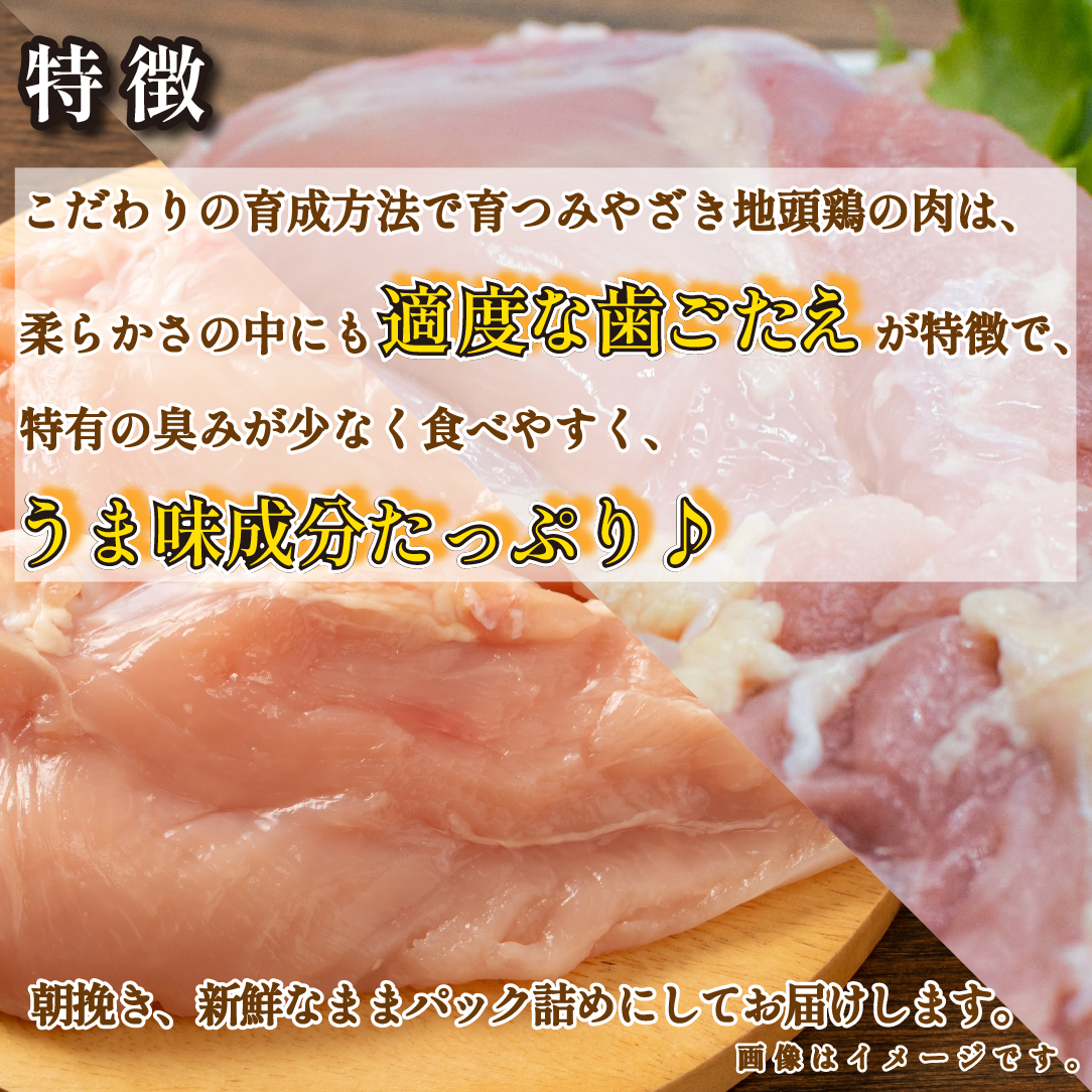 【宮崎ブランド地鶏】朝挽き ”みやざき地頭鶏” もも・むねおためしセット 約1kg（国産 鶏 鶏肉 地頭鶏 モモ ムネ 焼肉 BBQ）