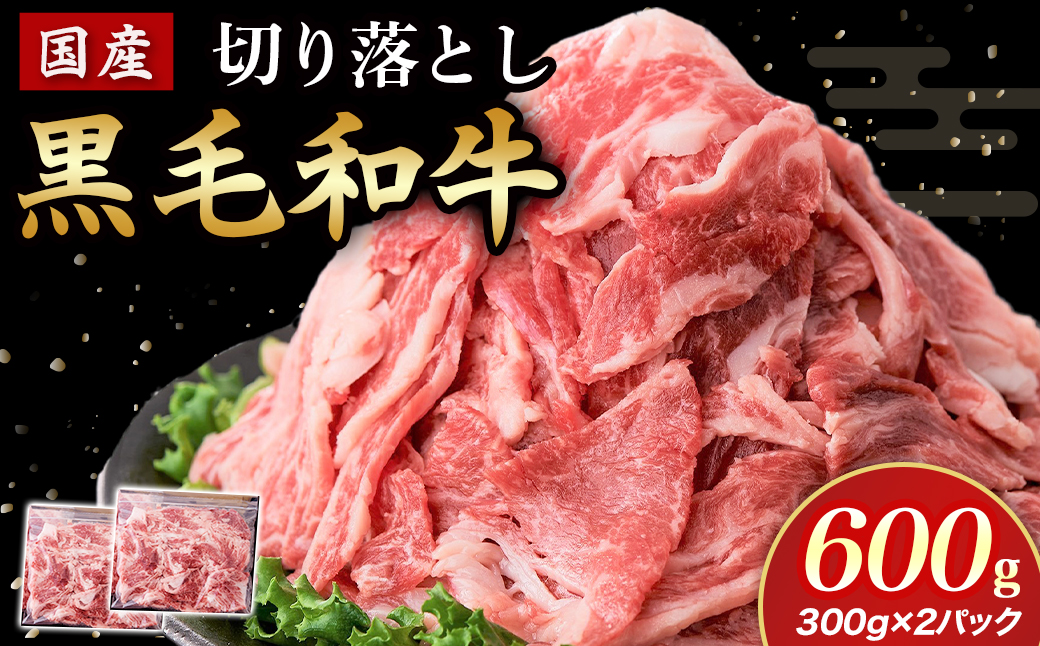 [小分けで便利!]国産黒毛和牛切り落とし 600g ( 国産 牛 牛肉 黒毛和牛 切り落とし 真空 小分け 冷凍 宮崎県 小林市 )