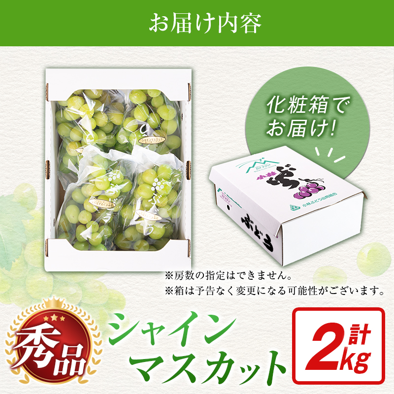 【令和8年発送 先行予約】小林市産 シャインマスカット 2kg（ブドウ ぶどう シャインマスカット マスカット フルーツ 果物 先行受付 限定）