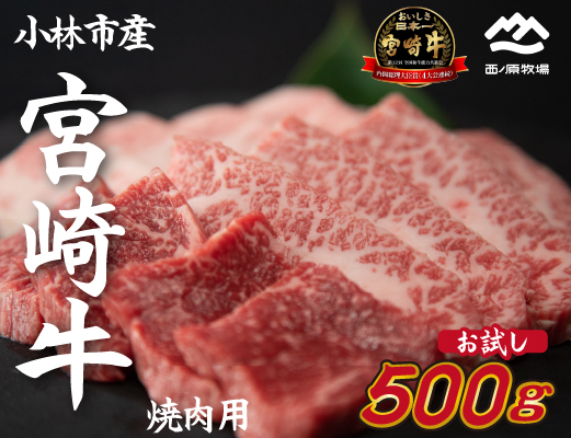 【生産直送】 国産 牛肉 宮崎牛 おためし焼肉　500ｇ×１Ｐ（お肉 モモ ウデ すき焼き 焼肉 赤身）