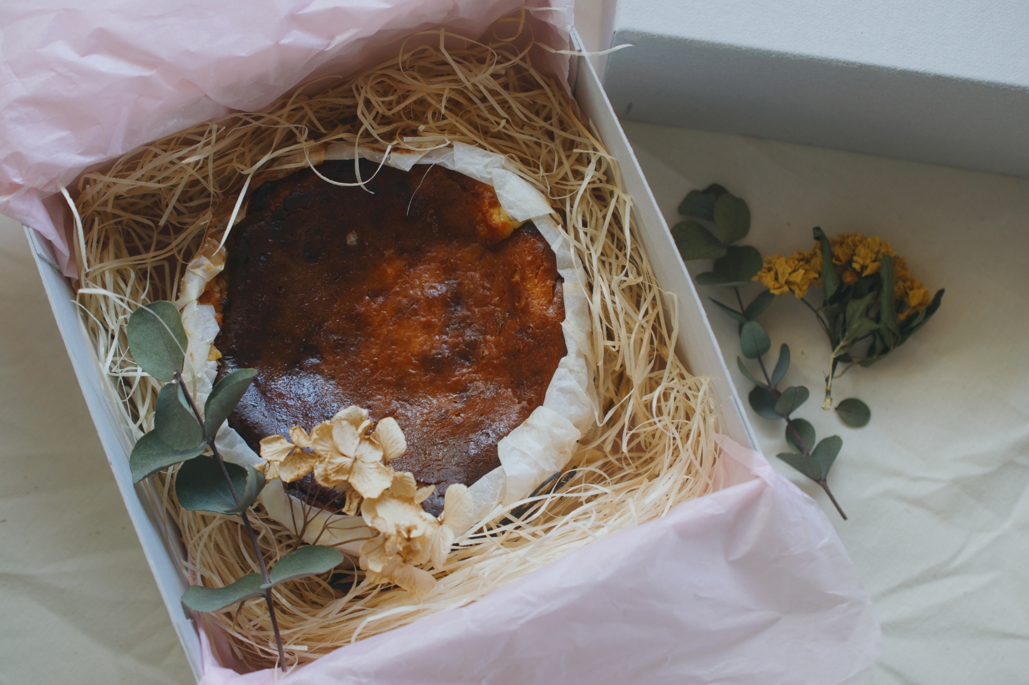 縲舌↑繧√i縺矩」滓─縲代ヰ繧ケ繧ッ繝√シ繧コ繧ア繝シ繧ュ