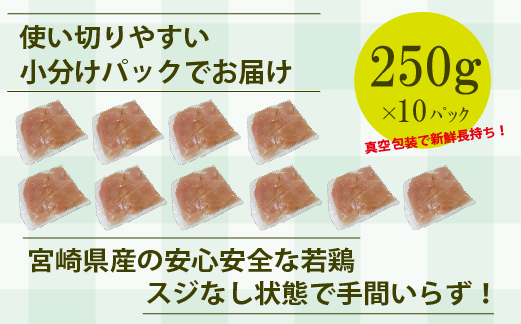 【手間いらず！】宮崎県産若鶏スジなしささみ2.5kgセット（250g×10P 国産 鶏肉 若鶏 ササミ 大容量 冷凍）