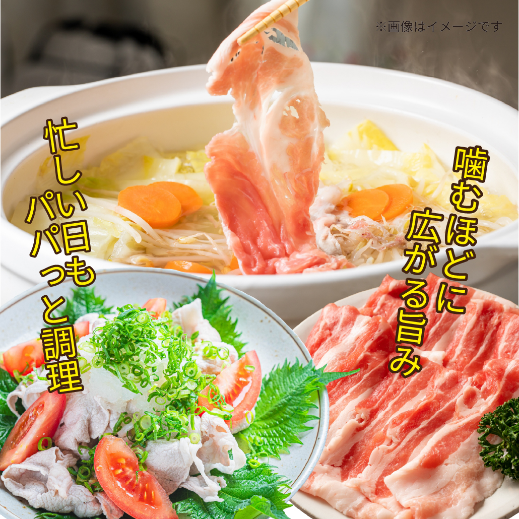 【定期便・全3回】九州産豚肉3種セット定期便(大容量 九州産豚肉 国産豚肉 炒め物 しゃぶしゃぶ とんかつ 焼肉 生姜焼き 肉じゃが カレー 豚汁)
