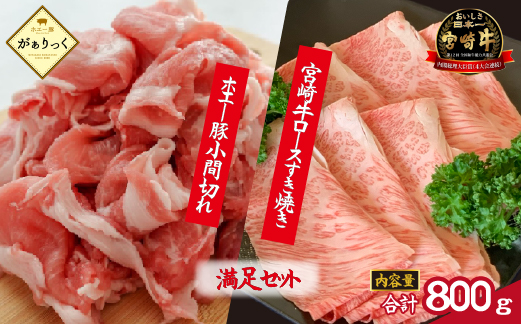 宮崎牛霜降りロースすき焼きとホエー豚小間切れセット 計800g（牛肉 和牛 豚肉 ロース 小間切れ こま切れ 豚小間 すき焼き すき焼き用）