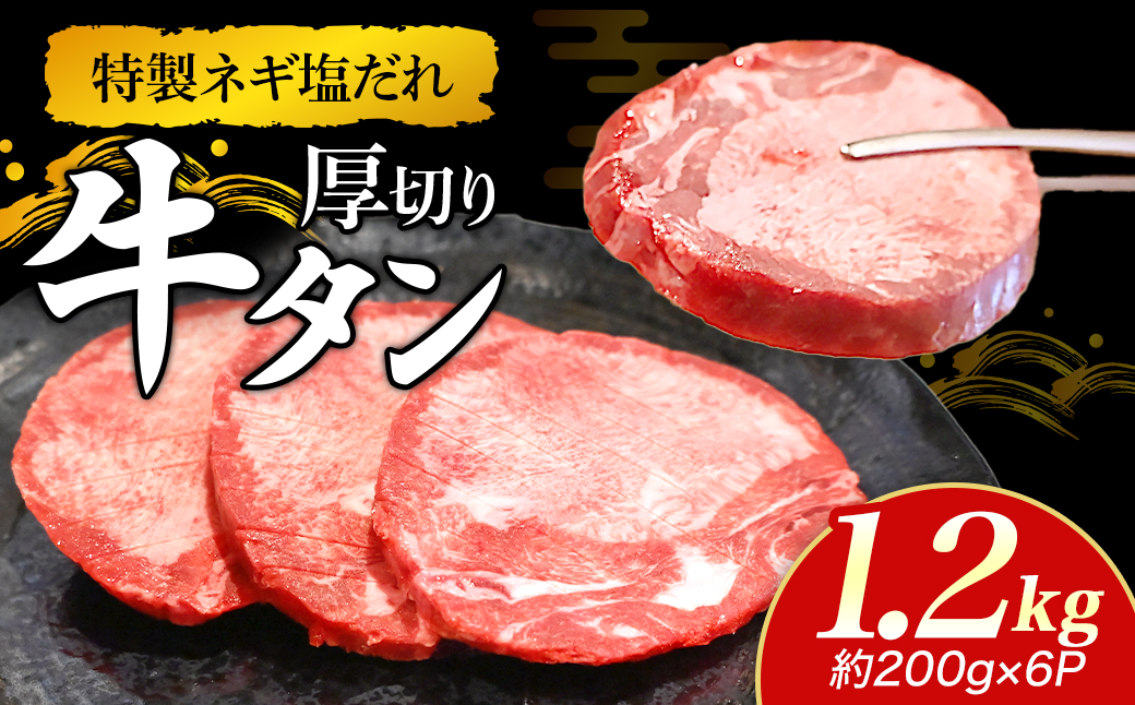 特製ネギ塩だれの厚切り牛タン 1.2kg（肉 牛肉 牛タン 厚切り タン 塩だれ ネギ ヘルシー 人気 宮崎県）