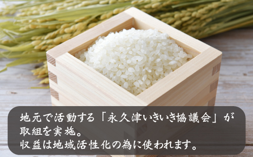 縲撰ス樊ーク荵縺ョ邀ウス槫ョョ蟠守恁菴上∩縺セ縺呵敢莠コ繝√く繝ウ繝翫Φ繧エ繝シ縺贋ク冶ゥア邀ウ縲台サ、蜥7蟷エ逕」 譁ー邀ウ 縺イ縺ョ縺イ縺九j 5kgシ亥嵜逕」 邀ウ 譁ー邀ウ 莉、蜥7蟷エ譁ー邀ウ 繝偵ヮ繝偵き繝ェ 邊セ邀ウ 髯仙ョ 繧ョ繝輔ヨ 莠コ豌暦シ