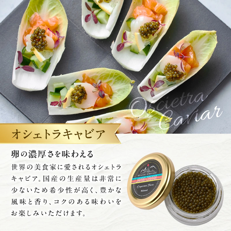 【純国産キャビア】オシェトラキャビア 40g 皇帝の涙 国産 チョウザメ 魚卵 宮崎県 小林市