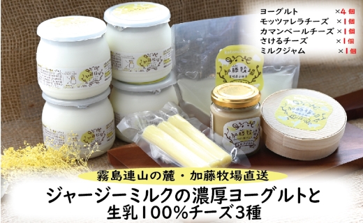 【霧島連山の麓・加藤牧場直送】ジャージーミルクの濃厚ヨーグルトと生乳100％チーズ３種（国産 ナチュラルチーズ ヨーグルト 乳製品 牛乳 チーズ コンテスト受賞  人気 霧島 宮崎 小林市 地域限定）