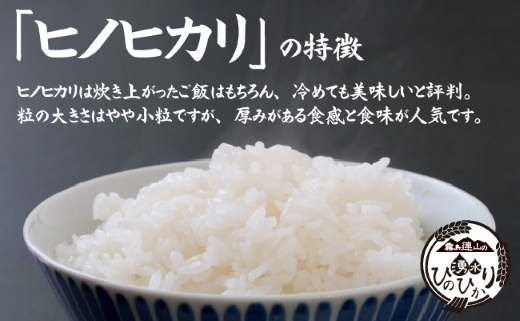 【令和6年産 新米】霧島連山の湧水ヒノヒカリ 特別栽培米 5kg（国産 米 新米 令和6年新米 精米済み 特栽米 ヒノヒカリ）