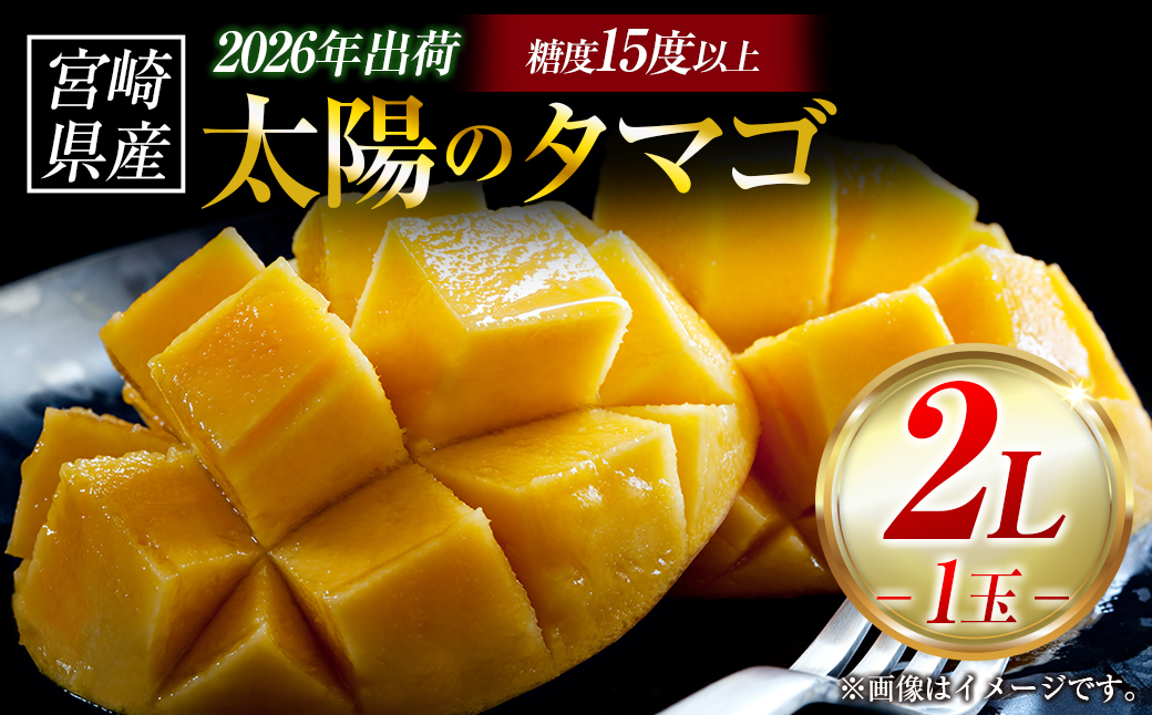 【令和8年発送 先行予約】完熟マンゴー「太陽のタマゴ」 2L×1玉（フルーツ マンゴー 完熟マンゴー アップルマンゴー 果物 くだもの 先行受付）