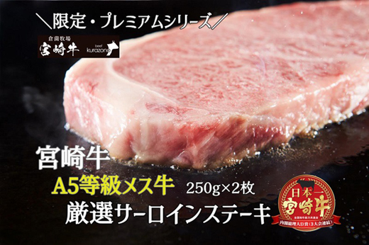 【限定・プレミアムシリーズ】厳選宮崎牛メス指定 A5等級サーロインステーキ 500g（国産 牛肉 国産牛 和牛 黒毛和牛 宮崎牛 霜降り サーロイン ステーキ 焼肉）