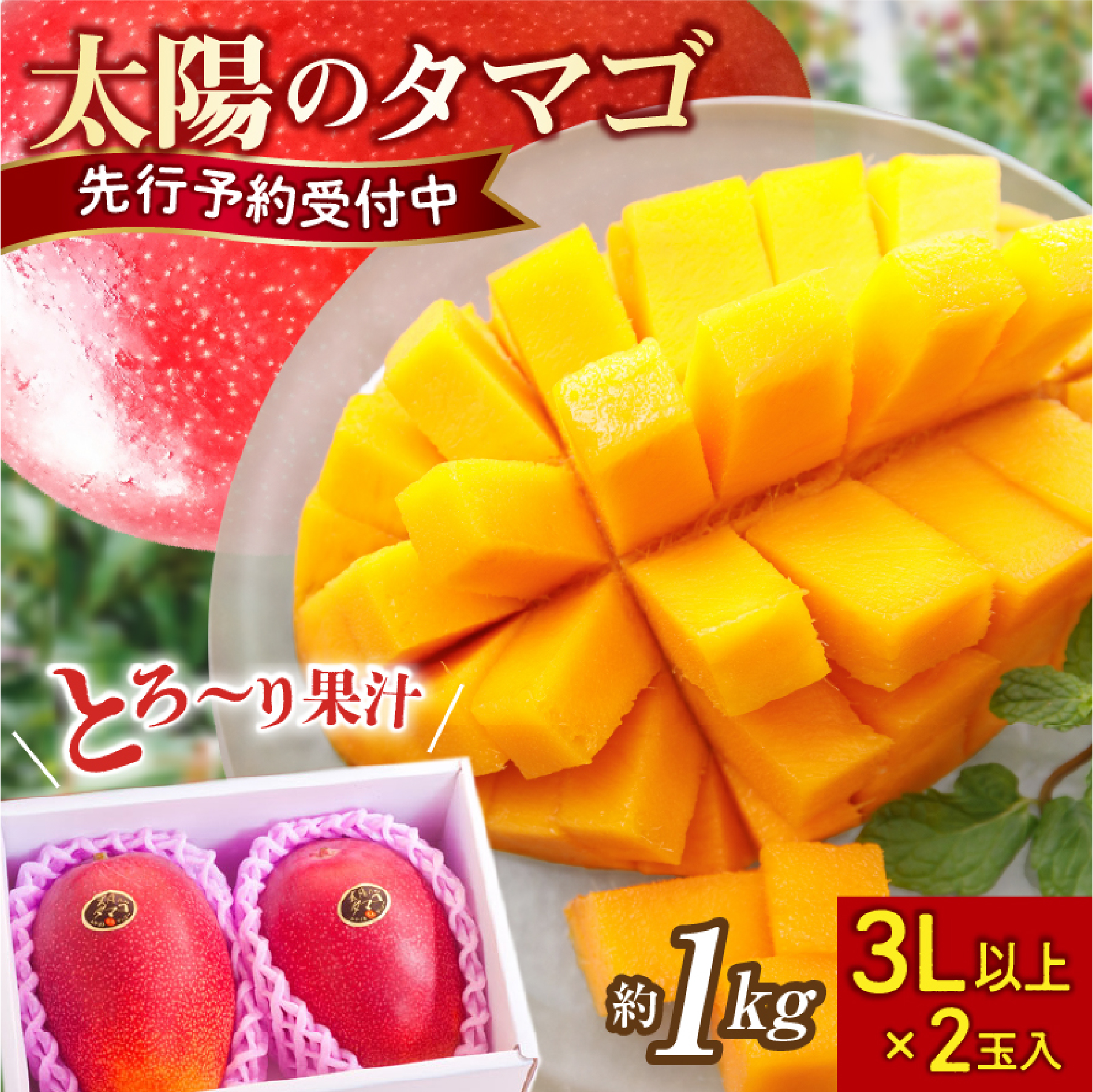 【数量限定・先行受付】厳選大玉宮崎完熟マンゴー「太陽のタマゴ」 2玉　計1kg程度（マンゴー フルーツ マンゴー予約 先行予約 2026 太陽のタマゴ 宮崎 小林市 果物 人気）